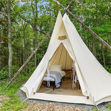Under Canvas Acadia Surry Exteriör bild