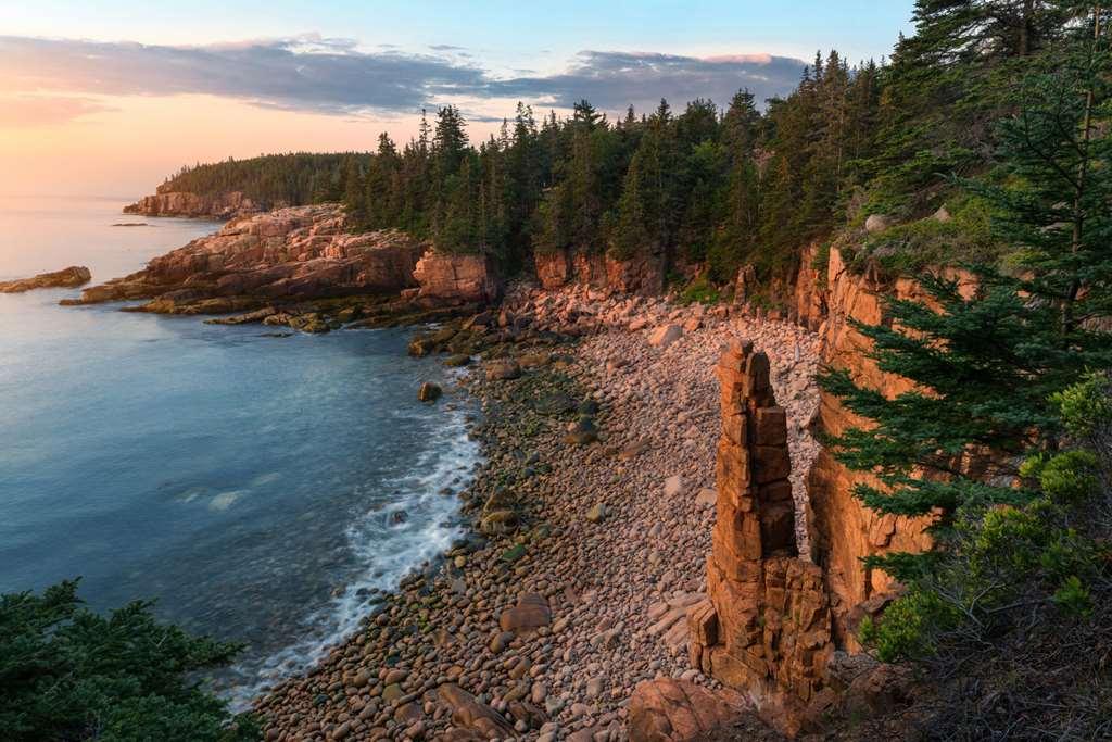 Under Canvas Acadia Surry Natur bild