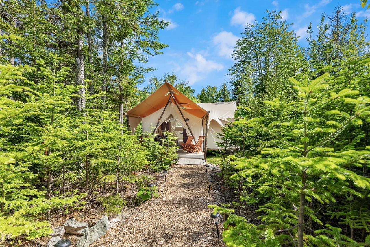 Under Canvas Acadia Surry Exteriör bild